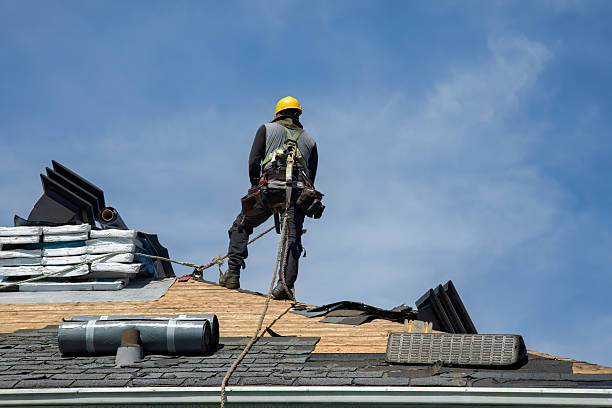 Professional Roofing technician working in Williams, IA